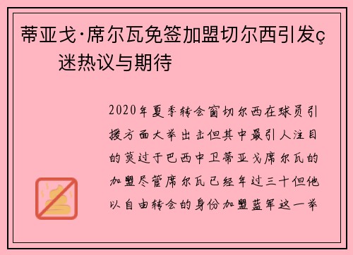 蒂亚戈·席尔瓦免签加盟切尔西引发球迷热议与期待