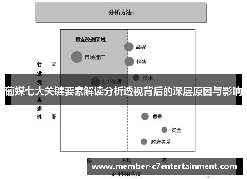 葡媒七大关键要素解读分析透视背后的深层原因与影响